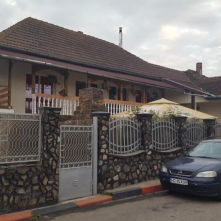 Casa Leo Daire Haţeg Dış mekan fotoğraf