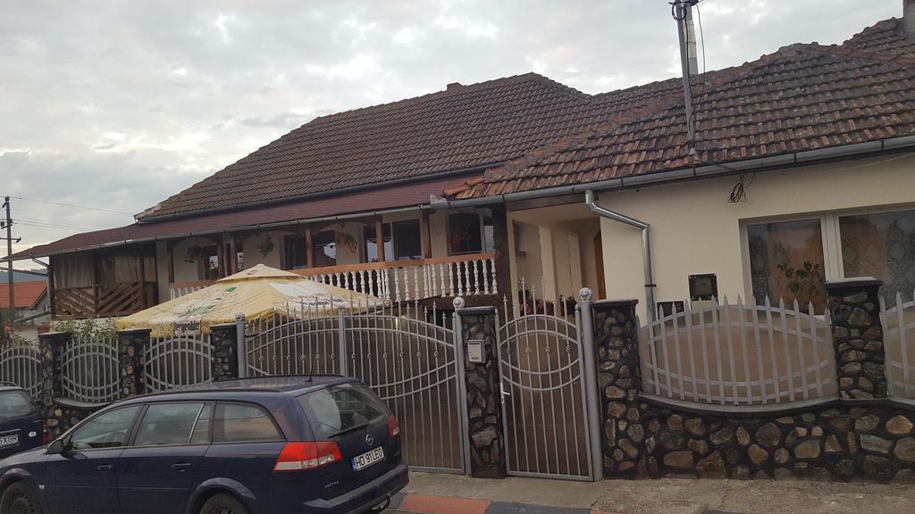 Casa Leo Daire Haţeg Dış mekan fotoğraf