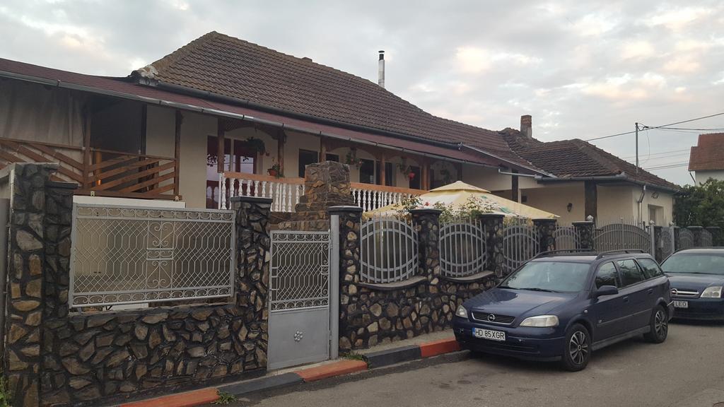 Casa Leo Daire Haţeg Dış mekan fotoğraf