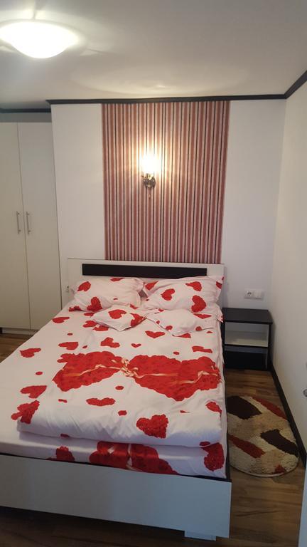 Casa Leo Daire Haţeg Dış mekan fotoğraf