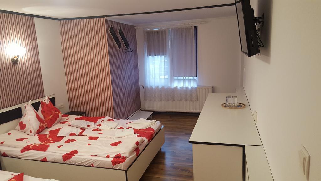 Casa Leo Daire Haţeg Dış mekan fotoğraf