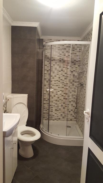 Casa Leo Daire Haţeg Dış mekan fotoğraf