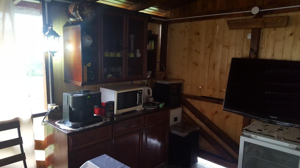 Casa Leo Daire Haţeg Dış mekan fotoğraf