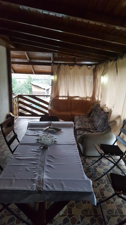 Casa Leo Daire Haţeg Dış mekan fotoğraf