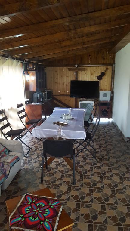 Casa Leo Daire Haţeg Dış mekan fotoğraf