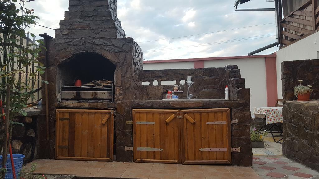 Casa Leo Daire Haţeg Dış mekan fotoğraf