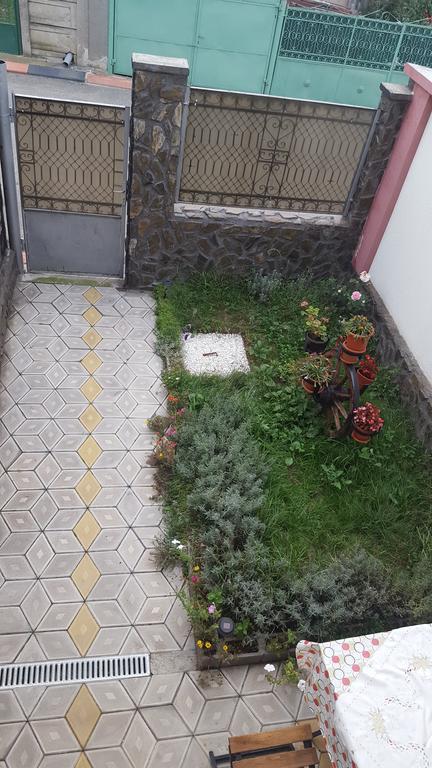 Casa Leo Daire Haţeg Dış mekan fotoğraf