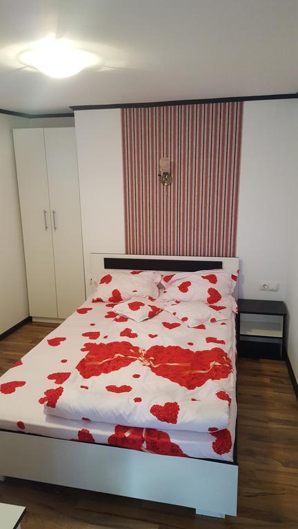 Casa Leo Daire Haţeg Dış mekan fotoğraf